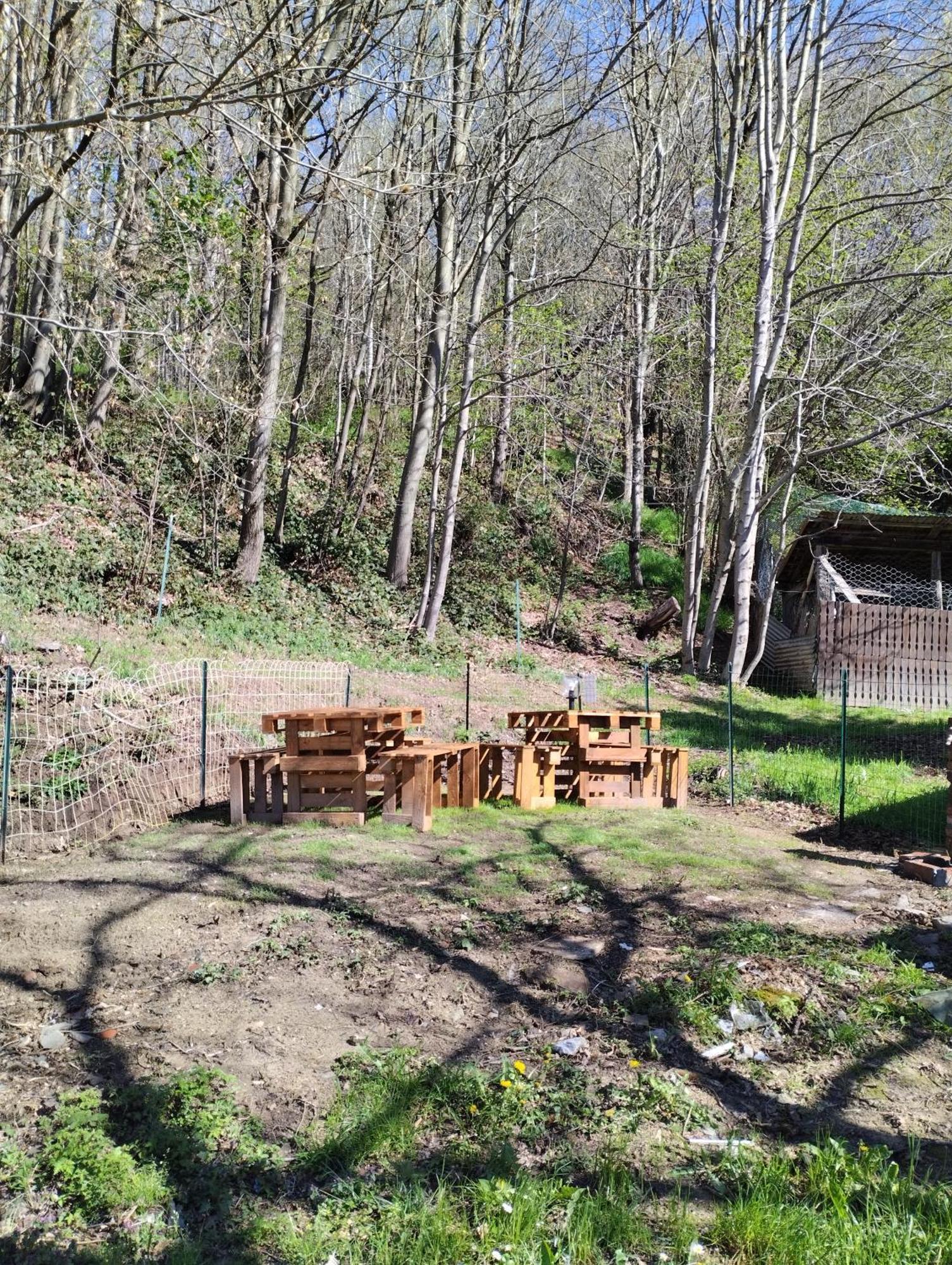 B&B La Marmotta Coazze Экстерьер фото